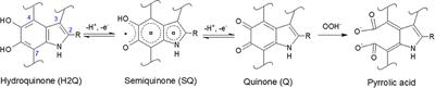 An Electrochemical Study on the Effect of Metal Chelation and Reactive Oxygen Species on a Synthetic Neuromelanin Model